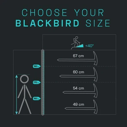 Piolet Blackbird - Imagen 7