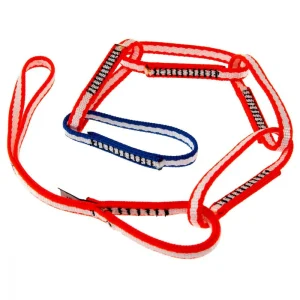 Autoseguro Alpine PAS